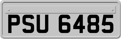 PSU6485