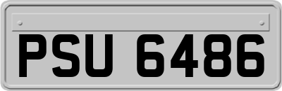 PSU6486