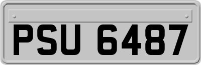 PSU6487