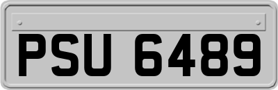 PSU6489