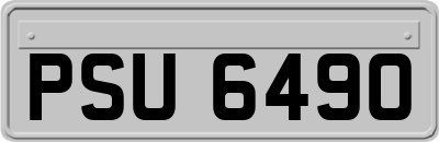 PSU6490