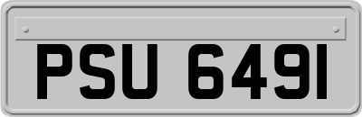 PSU6491