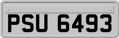 PSU6493