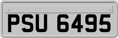 PSU6495