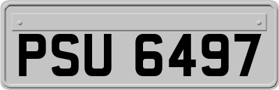 PSU6497