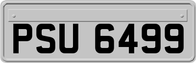 PSU6499