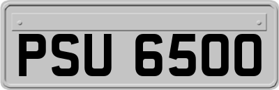 PSU6500