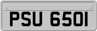 PSU6501