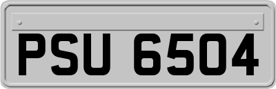 PSU6504
