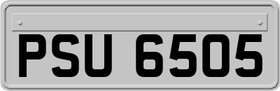 PSU6505
