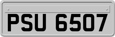 PSU6507