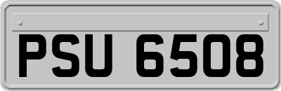 PSU6508
