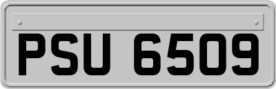 PSU6509