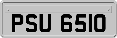 PSU6510