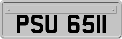 PSU6511