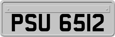 PSU6512