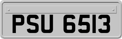 PSU6513