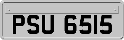 PSU6515