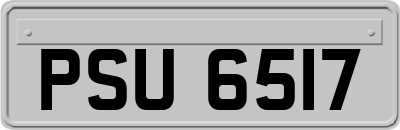 PSU6517