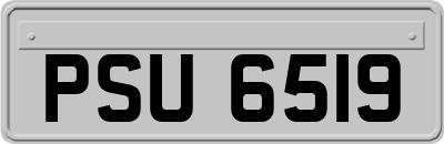 PSU6519