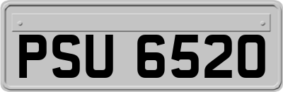 PSU6520