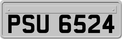 PSU6524