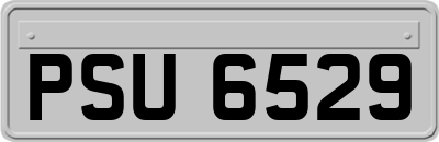 PSU6529
