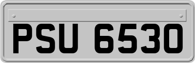 PSU6530