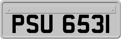 PSU6531