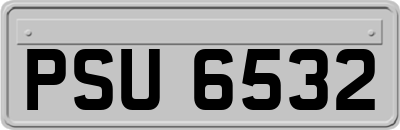 PSU6532