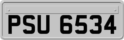 PSU6534