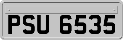PSU6535