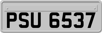 PSU6537