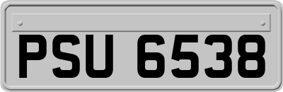 PSU6538