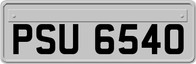 PSU6540