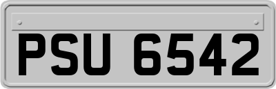 PSU6542