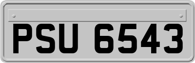 PSU6543
