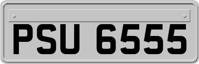 PSU6555