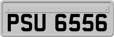 PSU6556