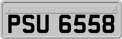 PSU6558