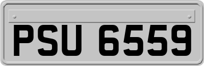 PSU6559