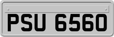 PSU6560
