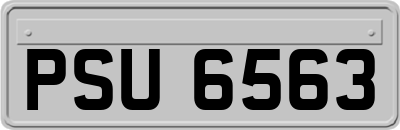 PSU6563
