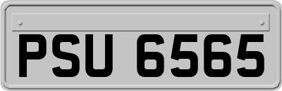 PSU6565