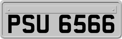 PSU6566