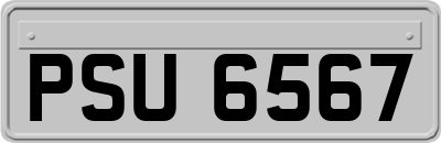 PSU6567
