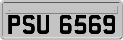 PSU6569