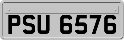 PSU6576