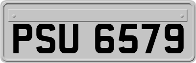 PSU6579