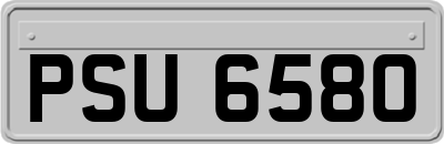 PSU6580